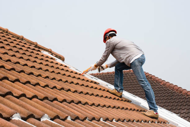 Best Rubber Roofing (EPDM, TPO)  in Camp Hill, AL