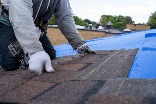Best Sheet Metal Roofing  in Camp Hill, AL