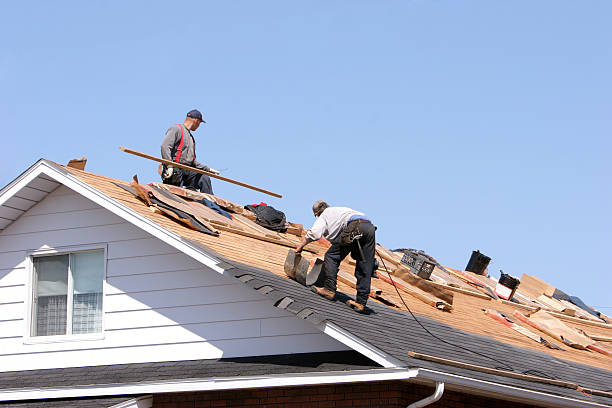 Best Roof Moss and Algae Removal  in Camp Hill, AL
